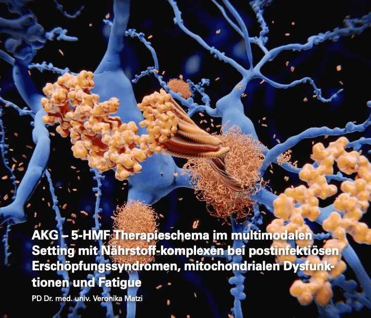 Wissenschaftliche 3D-Illustration von Nervenzellen mit mitochondrialer Dysfunktion – Fachartikel von PD Dr. med. univ. Veronika Matzi über AKG und 5-HMF Therapieschema bei postinfektiösen Erschöpfungssyndromen, Fatigue und mitochondrialen Dysfunktionen